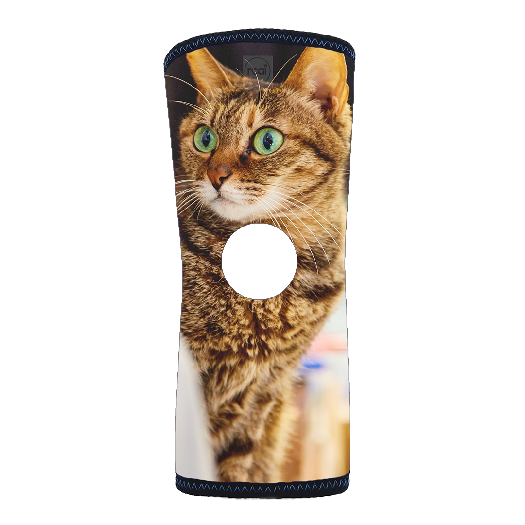 RCAI Art and Reversible Knee Sleeve with realistic green-eyed tabby cat print, black trim, made in the USA, best orthopedic.
